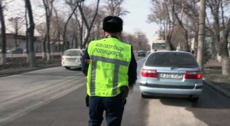 МВД обратилось к казахстанским водителям и пешеходам