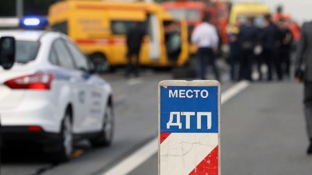 Ногу оторвало сбитому на пешеходном переходе мужчине в Петропавловске