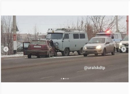 Авто с коровой попало в ДТП в Уральске (фото, видео)