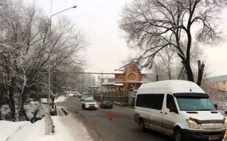 Микроавтобус переехал лежащего на дороге мужчину под Алматы