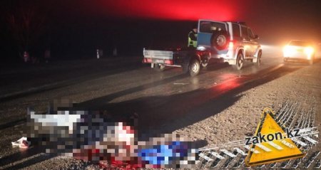Мужчину сбили насмерть на трассе Алматы-Астана