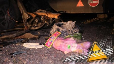 Два человека погибли в аварии с грузовиком-длинномером на трассе Алматы - Нур-Султан