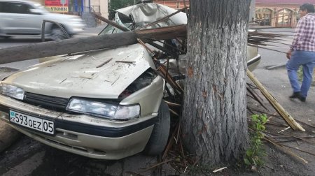 Пассажирка вылетела из окна: автомобиль врезался в дерево в Алматы