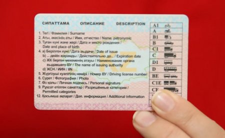 Сколько стоят водительские права в Казахстане