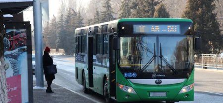 Перевозчика Green Bus Company признали банкротом в Шымкенте