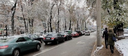 "Разбираемся, кто виноват": МВД раскрыло схемы ввоза армянских авто в Казахстан