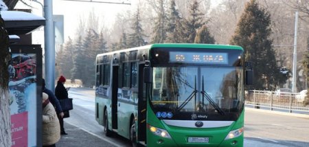 Токаев призвал навести порядок в сфере пассажирских перевозок