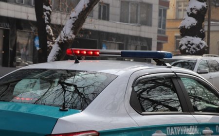 Кражу 26 млн тенге из салона авто алматинца подтвердили в полиции