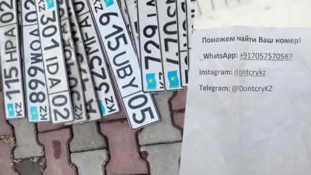 38 госномеров в одном дворе сняли злоумышленники в Алматы