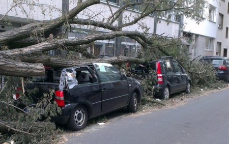 Могут ли казахстанцы застраховать автомобиль от ущерба, нанесенного упавшим деревом