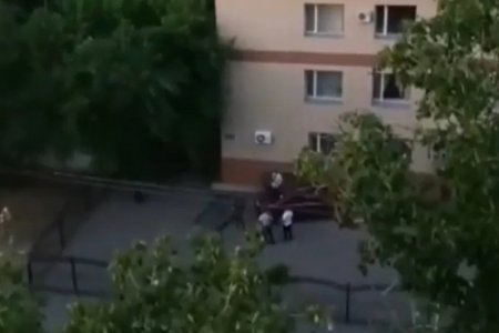 Перепутал педали и протаранил здание суда в Павлодаре