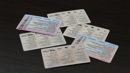 Фальшивые водительские права изготавливали в Акмолинской области
