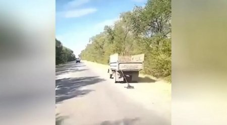 На трассе протащили собаку привязали к грузовику в Алматинской области
