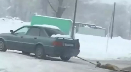Привязанную к машине собаку протащили по улице в Алматинской области