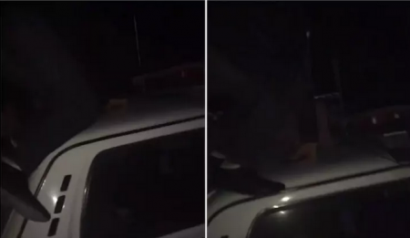 Акмолинцы записали оскорбительное видео на крыше полицейского авто и поплатились