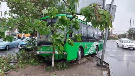 Пассажирский автобус врезался в дерево в Шымкенте
