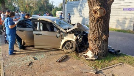 Автомобиль на полном ходу влетел в дерево в Алматы