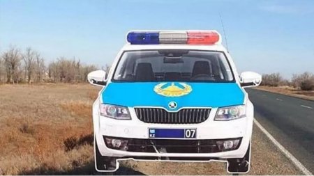 Муляж патрульного авто украли с трассы в ЗКО