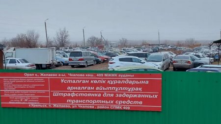 Около 500 подписей в адрес МВД собрали водители авто с российскими номерами в ЗКО