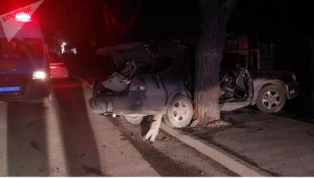 Занесло на повороте: водитель погиб после столкновения авто с деревом в Алматы