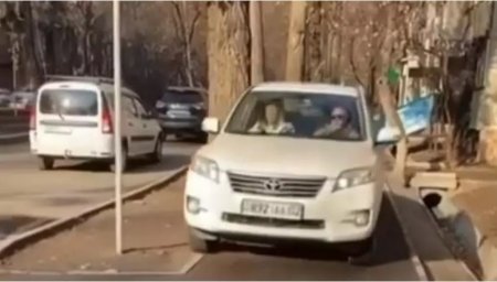Разъезжавшего по тротуару водителя наказали в Алматы