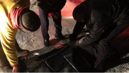 Арсенал оружия и тушу марала нашли в служебном авто акимата в Алматинской области