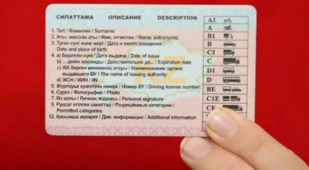 Житель Тараза заплатил 125 тыс. тенге за фото фейкового водительского удостоверения