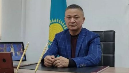 Акима наказали после инцидента с активистом в Алматинской области