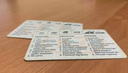 Житель Павлодара продавал водительские права через Instagram
