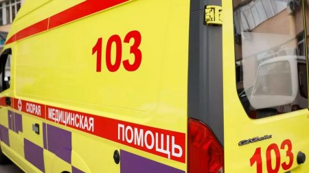 В Алматинской области водитель сбил 81-летнего велосипедиста и скрылся
